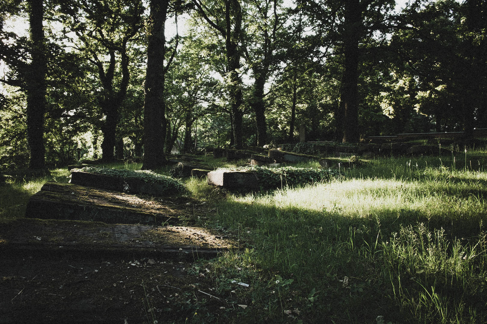 Jüdischer Friedhof Kassel-Bettenhausen